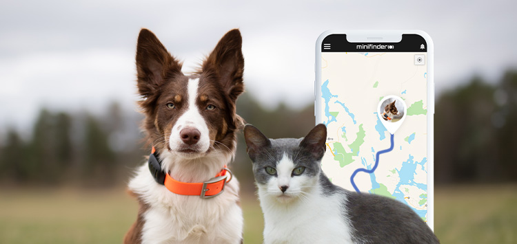 4 tips to get the most out of your Dog and Cat GPS