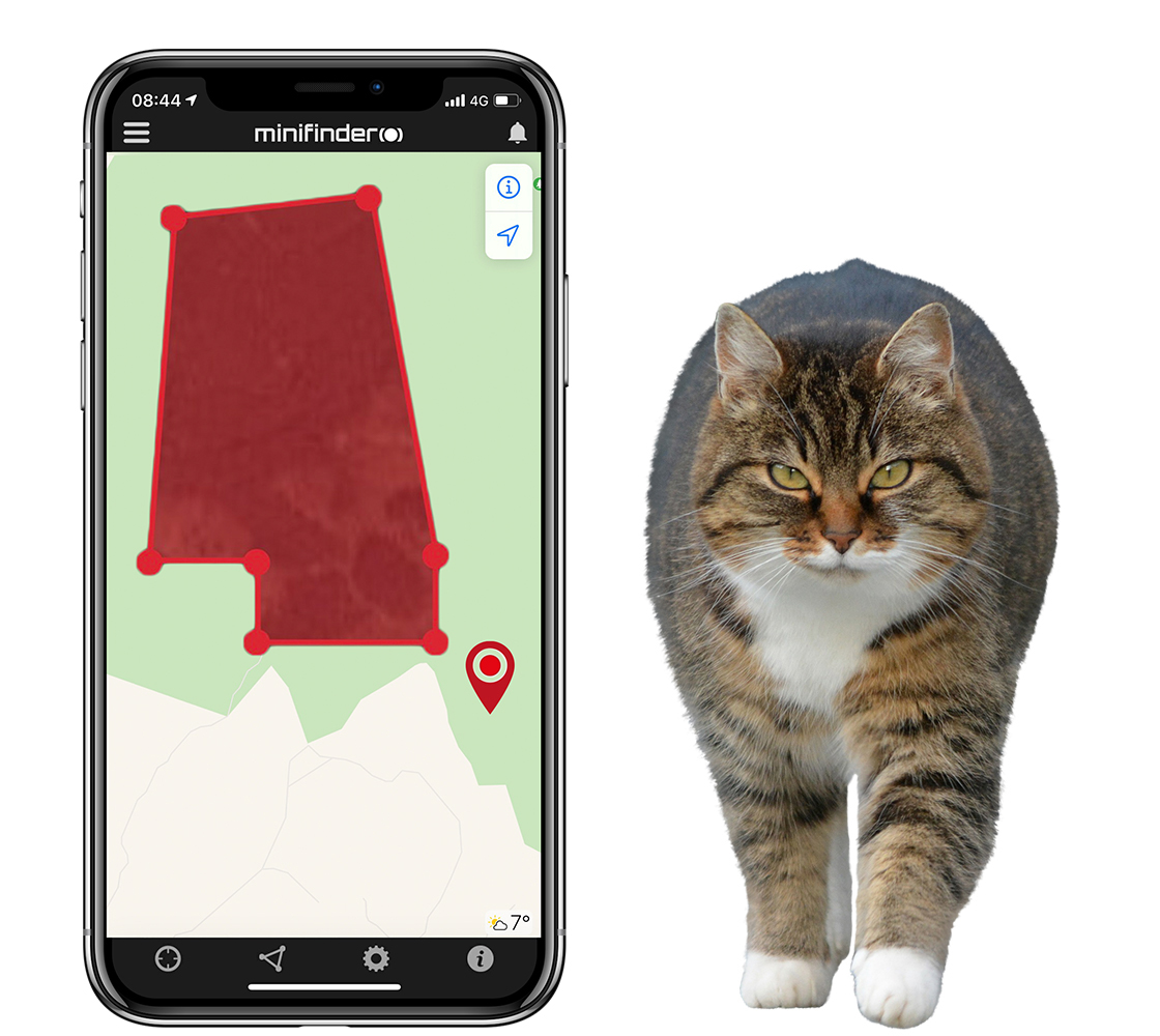 Seuraa kissasi GPS-tekniikan avulla