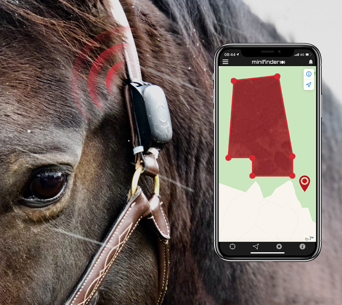 Hevonen GPS-seurannalla