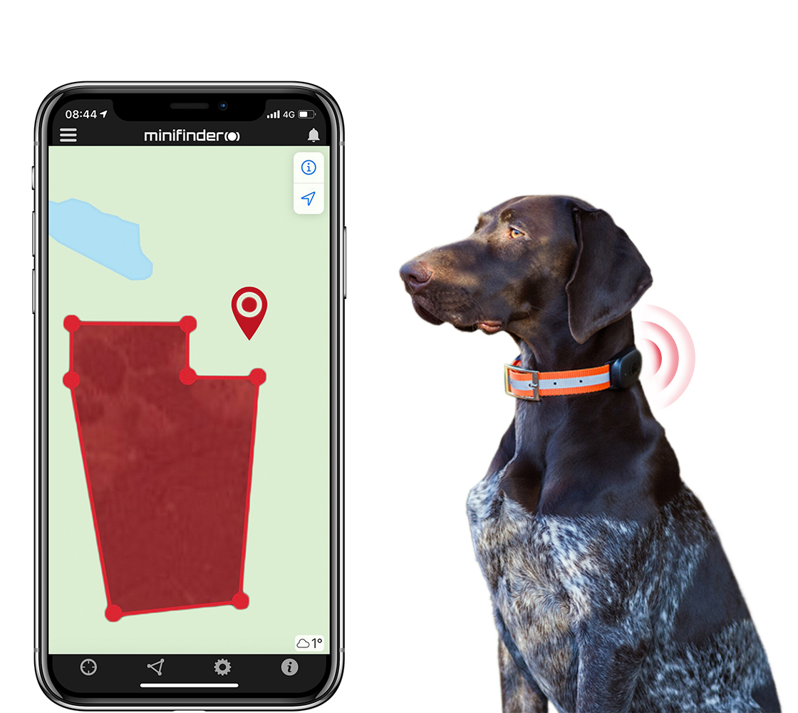 Metsästyskoirien GPS tekee metsästyksestä turvallisempaa